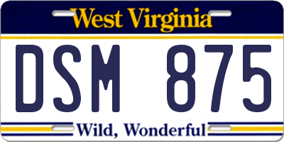 WV license plate DSM875