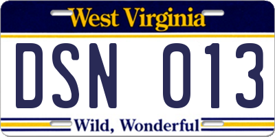 WV license plate DSN013