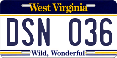 WV license plate DSN036