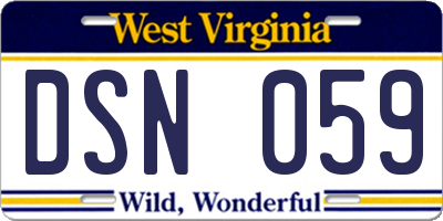 WV license plate DSN059