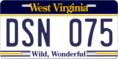 WV license plate DSN075