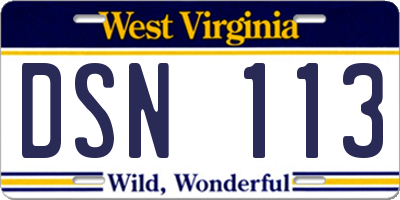 WV license plate DSN113