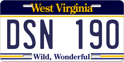 WV license plate DSN190