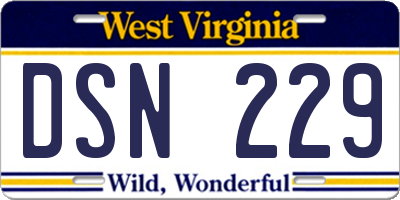 WV license plate DSN229