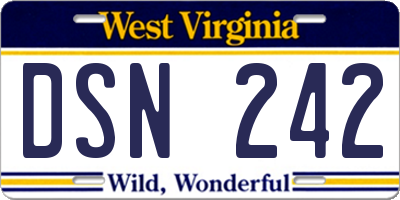 WV license plate DSN242