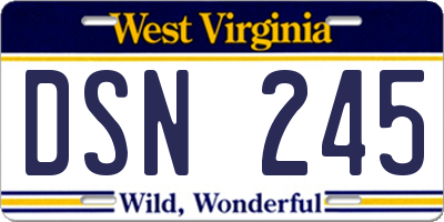 WV license plate DSN245