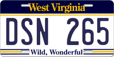 WV license plate DSN265