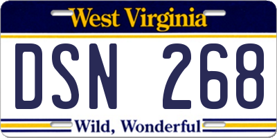 WV license plate DSN268