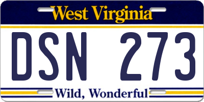 WV license plate DSN273