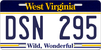 WV license plate DSN295