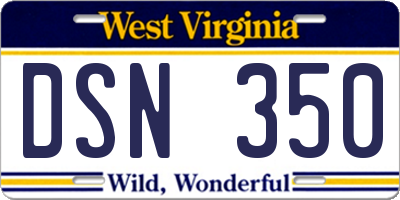 WV license plate DSN350
