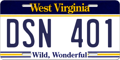 WV license plate DSN401