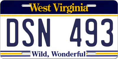 WV license plate DSN493