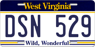 WV license plate DSN529