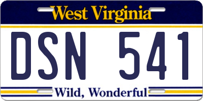 WV license plate DSN541