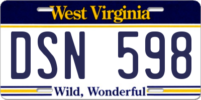 WV license plate DSN598