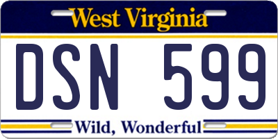 WV license plate DSN599
