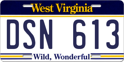 WV license plate DSN613