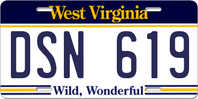 WV license plate DSN619