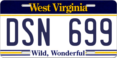 WV license plate DSN699
