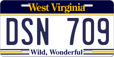 WV license plate DSN709