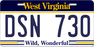 WV license plate DSN730