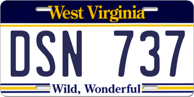 WV license plate DSN737