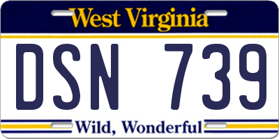 WV license plate DSN739
