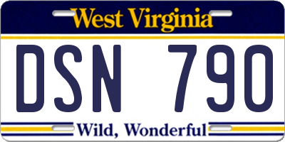 WV license plate DSN790