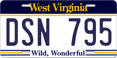 WV license plate DSN795