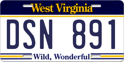 WV license plate DSN891