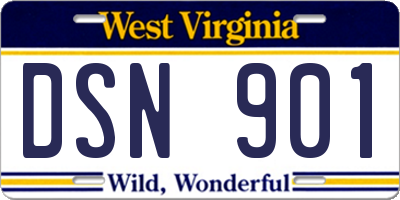 WV license plate DSN901