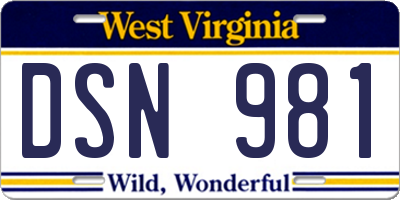 WV license plate DSN981
