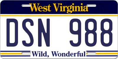 WV license plate DSN988