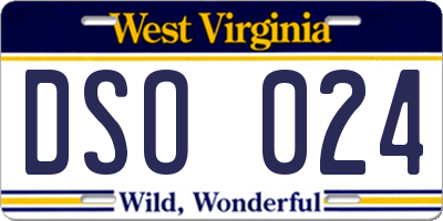 WV license plate DSO024