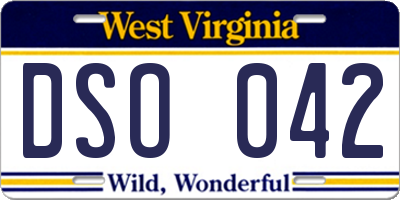 WV license plate DSO042