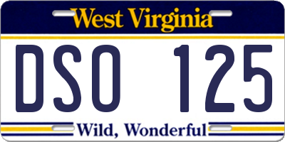 WV license plate DSO125