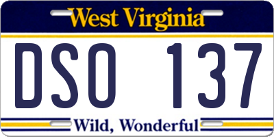 WV license plate DSO137