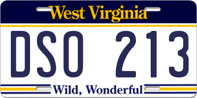 WV license plate DSO213