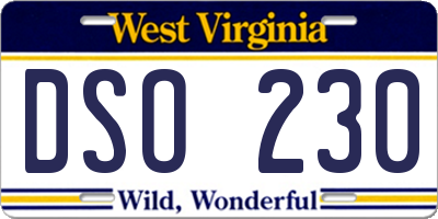 WV license plate DSO230
