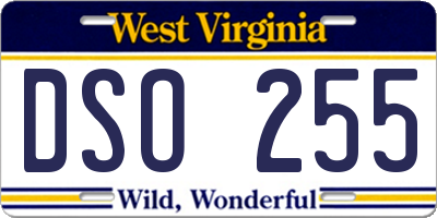 WV license plate DSO255