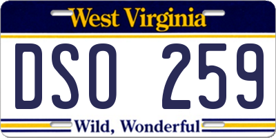 WV license plate DSO259