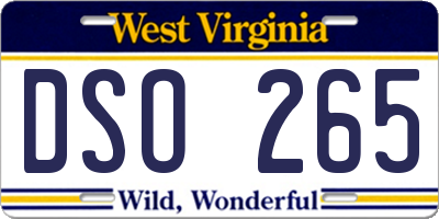WV license plate DSO265