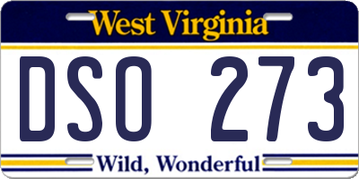 WV license plate DSO273