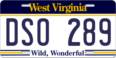 WV license plate DSO289