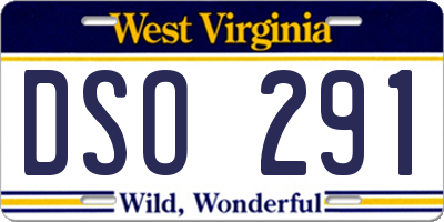 WV license plate DSO291