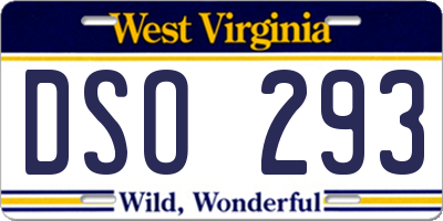 WV license plate DSO293