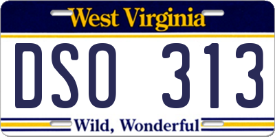 WV license plate DSO313