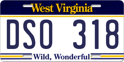WV license plate DSO318