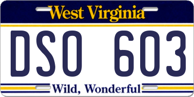 WV license plate DSO603